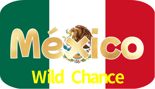 Wild Chance Logo